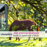 Image de la formation ou événement : Apéro champêtre - Découverte équicoaching